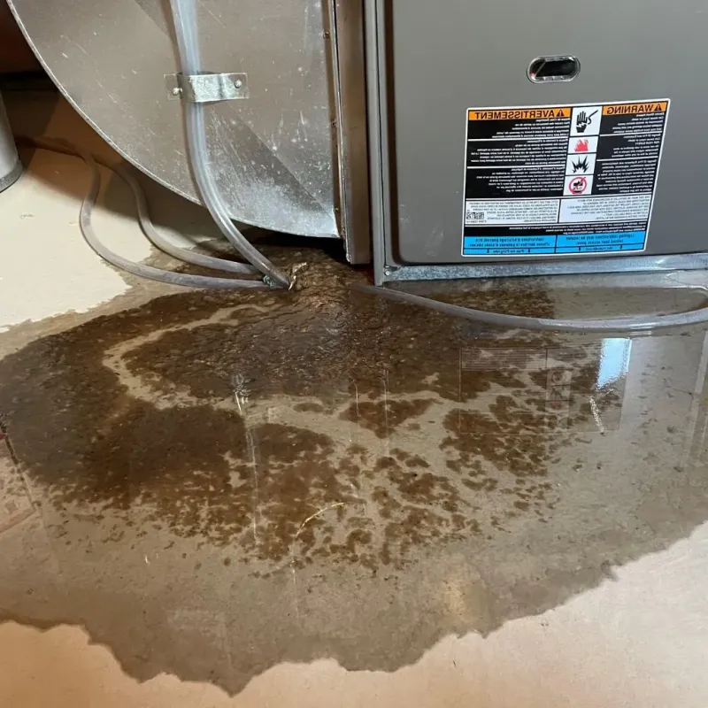 Pipe Burst and Leak Restoration in Mountain Home, ID